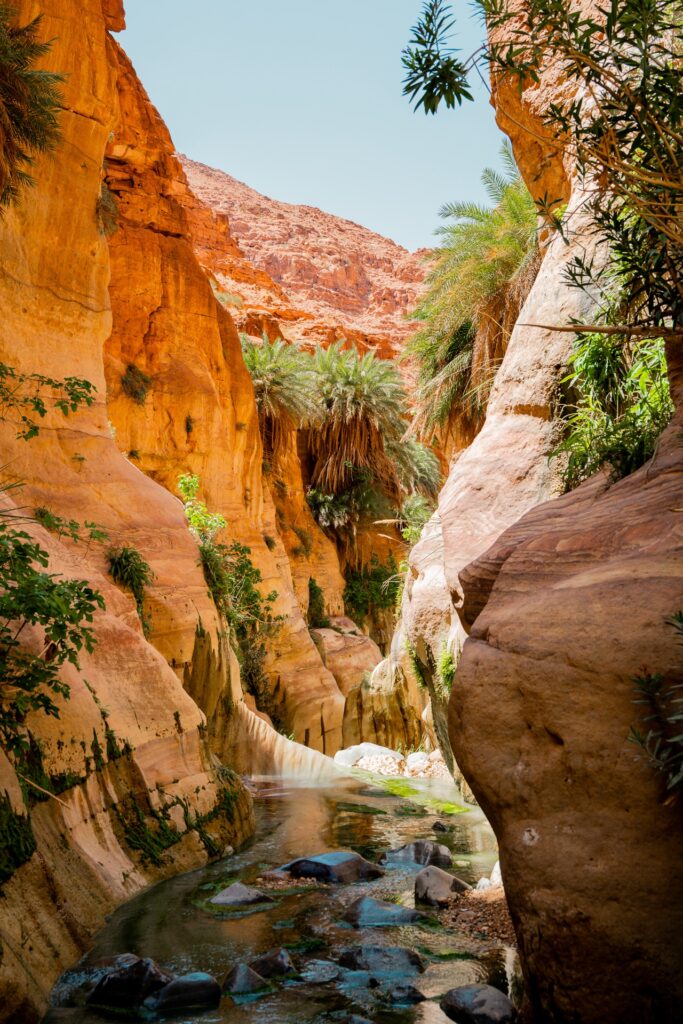 Jordan trail - trek en Jordanie