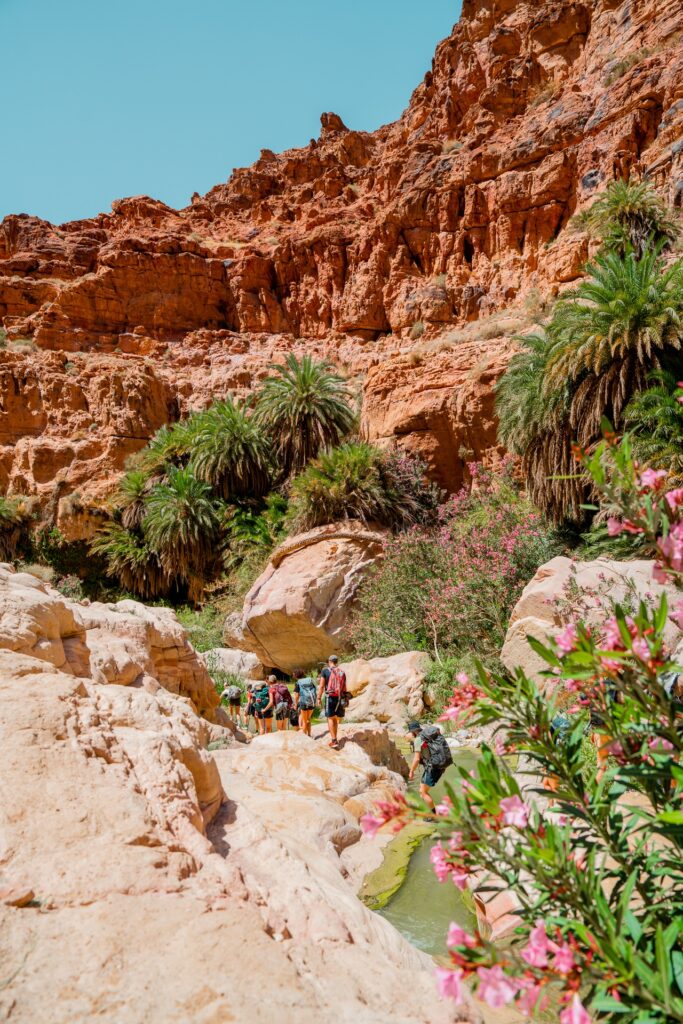 Jordan trail - trek en Jordanie