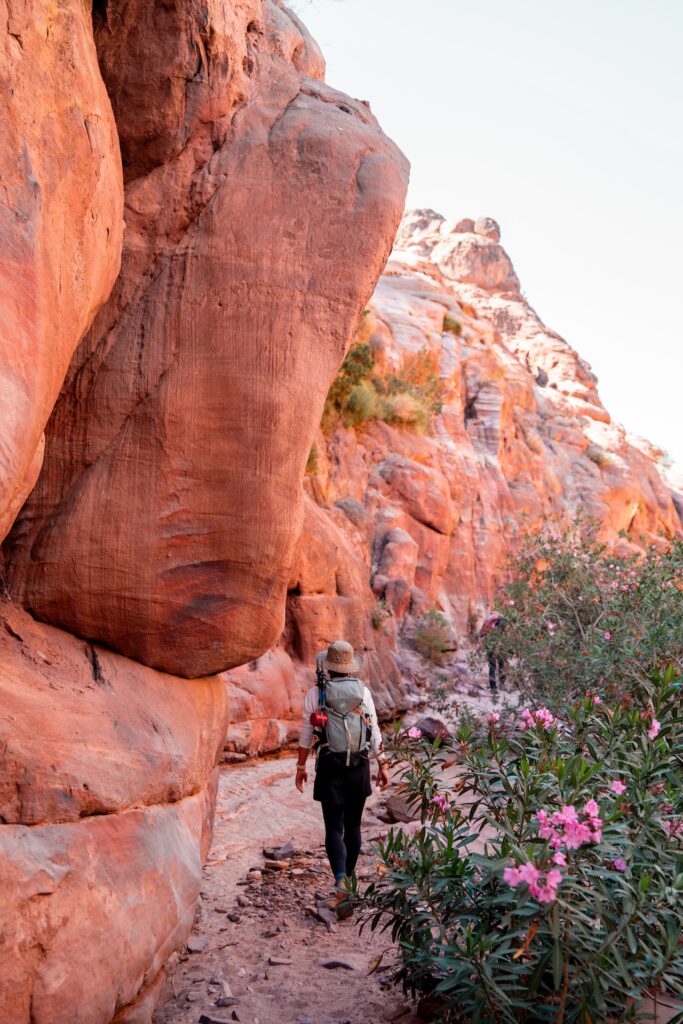 Jordan trail - trek en Jordanie