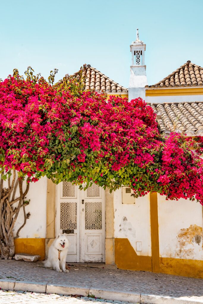 Roadtrip Portugal : Tavira