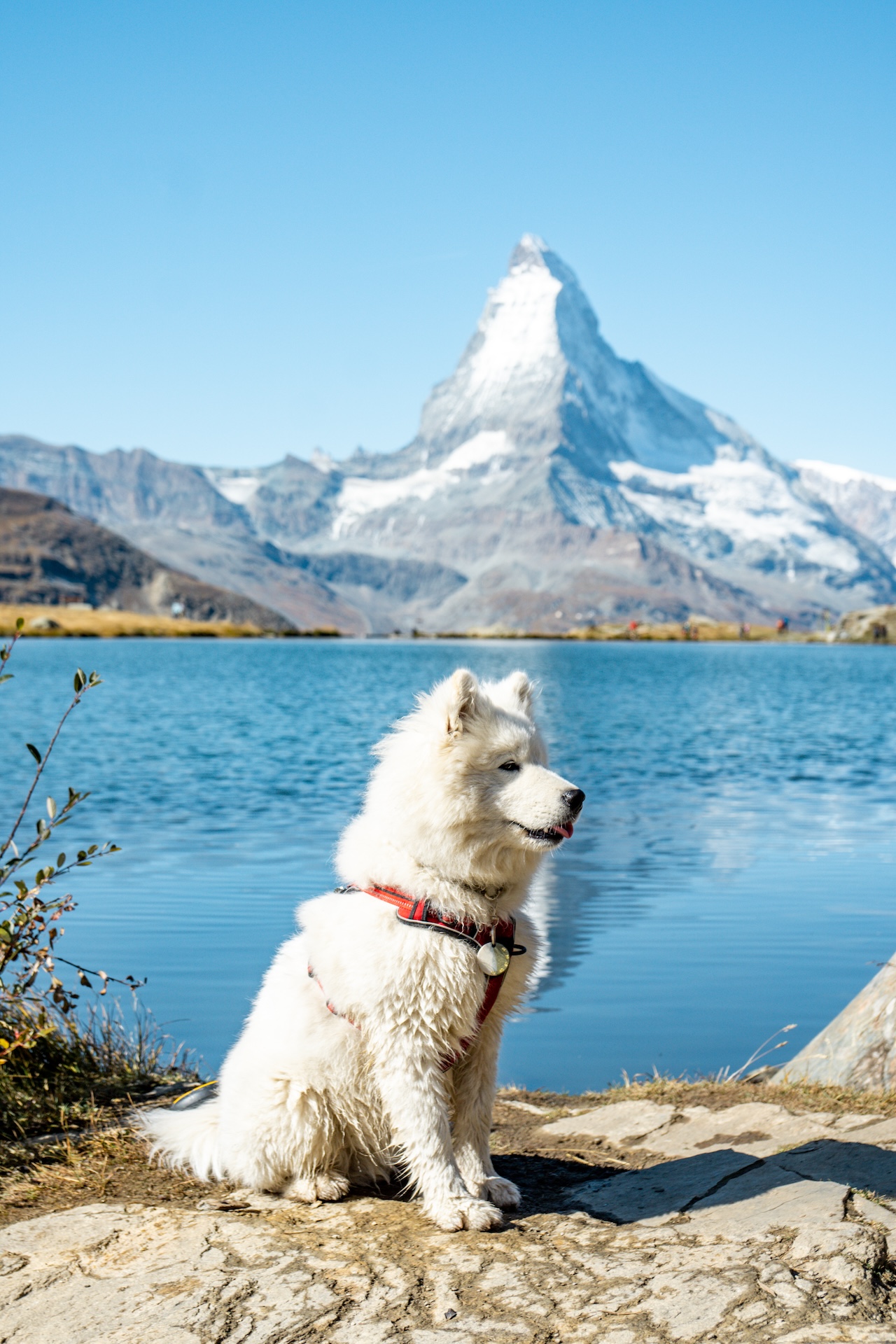Reflet du Cervin dans le Stellisee, randonnée des 5 lacs Zermatt