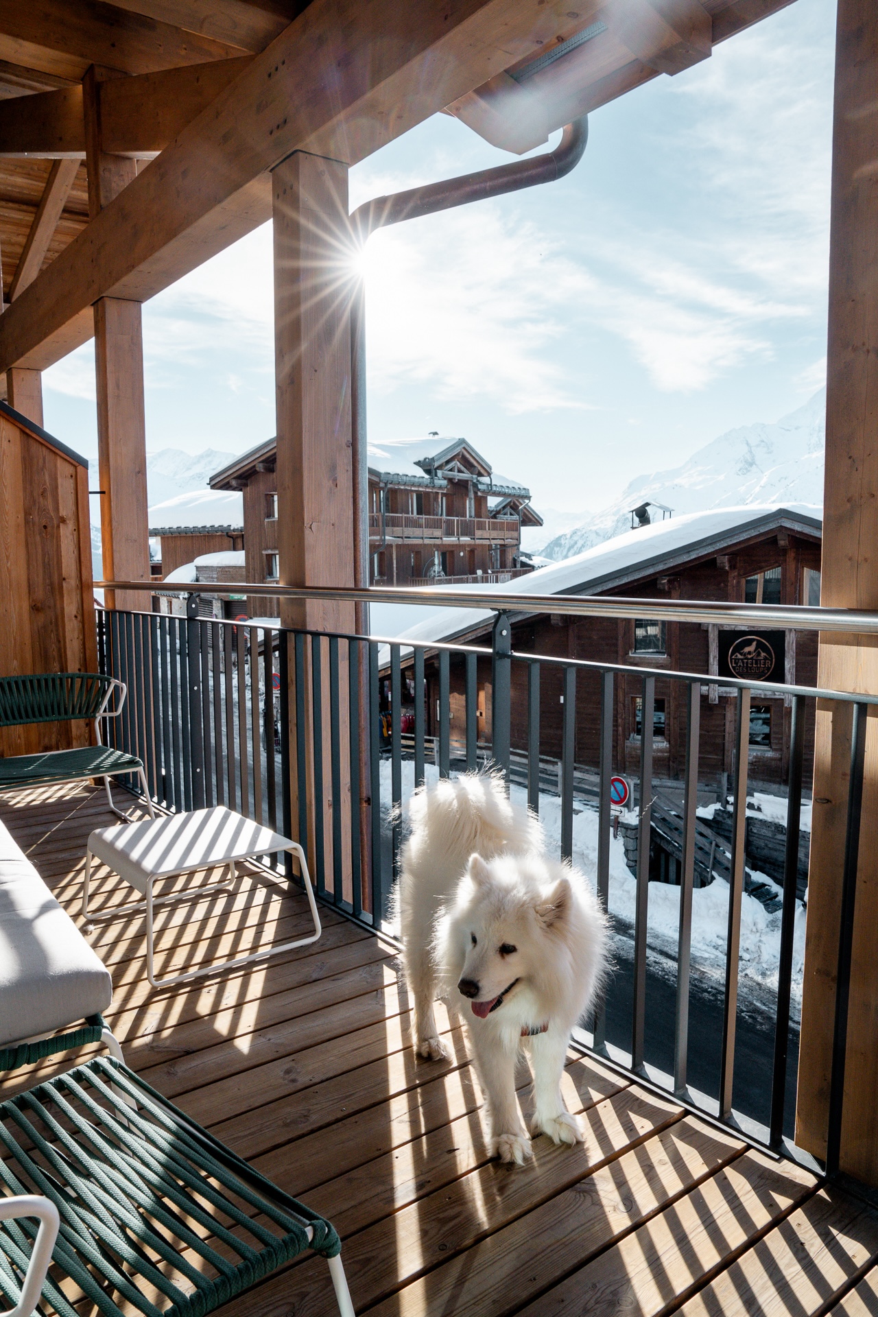 Séjour ski dog friendly à La Rosière