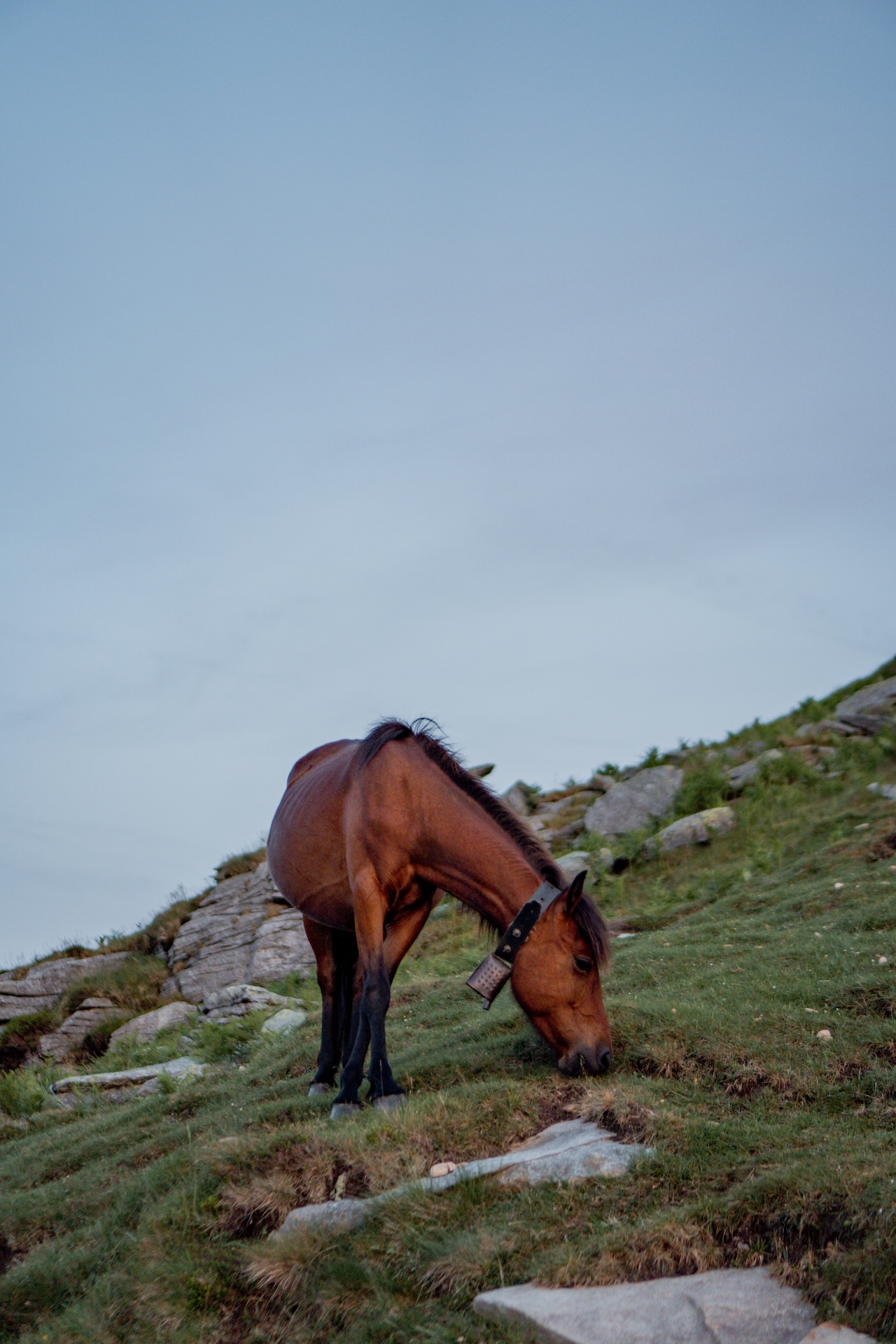 2023_06_16_La_Rhune-004