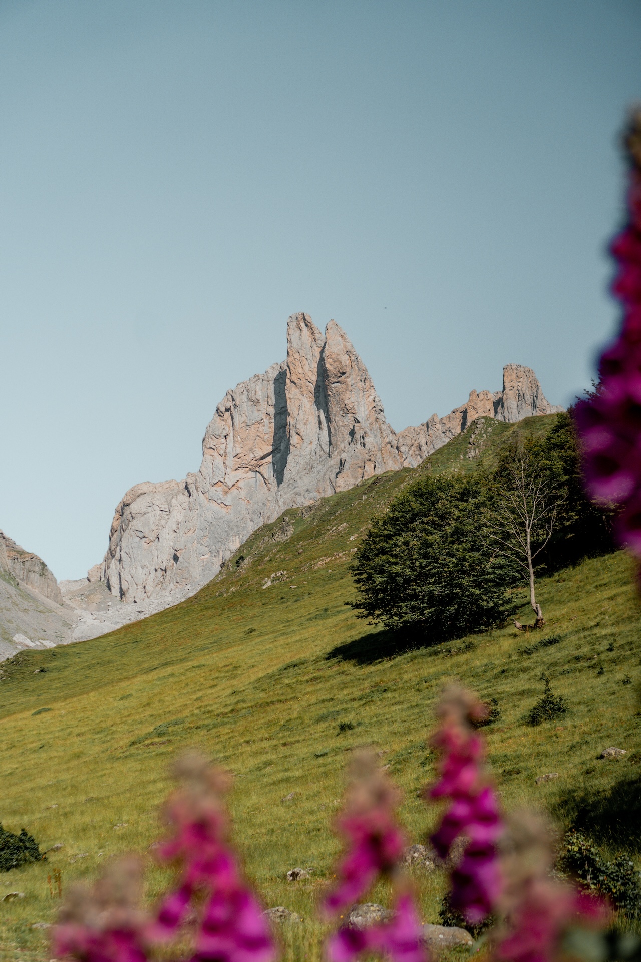 2023_07_10_Lac_de_Ansabere-63